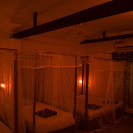 Arne'S Place Аругам Бей Екстериор снимка